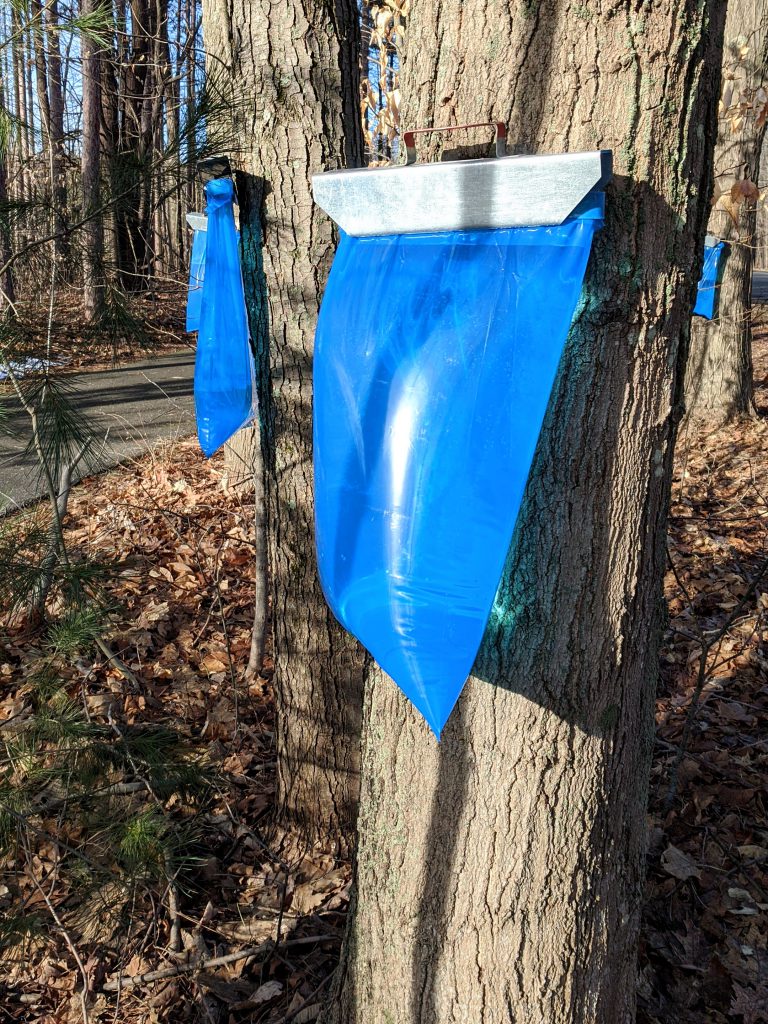 DIY Sap 